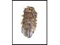 product_thumb.php (6)