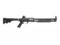 pps-0256