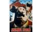 animal-farm