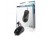 CMP-MOUSE14_MR