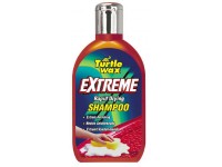 turtle extreme.jpg