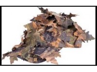product_thumb.php (7)