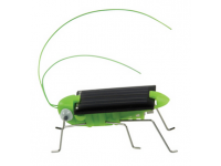 solarbug10