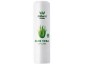 aloe vera lip care 1.jpg